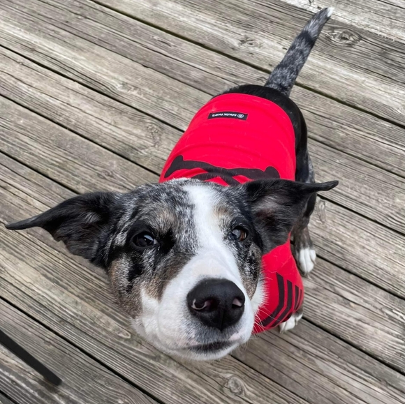 Spark Paws Other - NEW WITH TAGS!! Spark Paws, Dog Size Large, Red, Fleece Hoodie